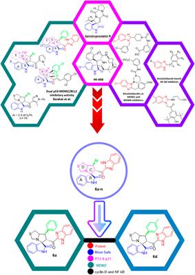 Activation of p53 signaling and regression of breast and prostate carcinoma cells by spirooxindole-benzimidazole small molecules